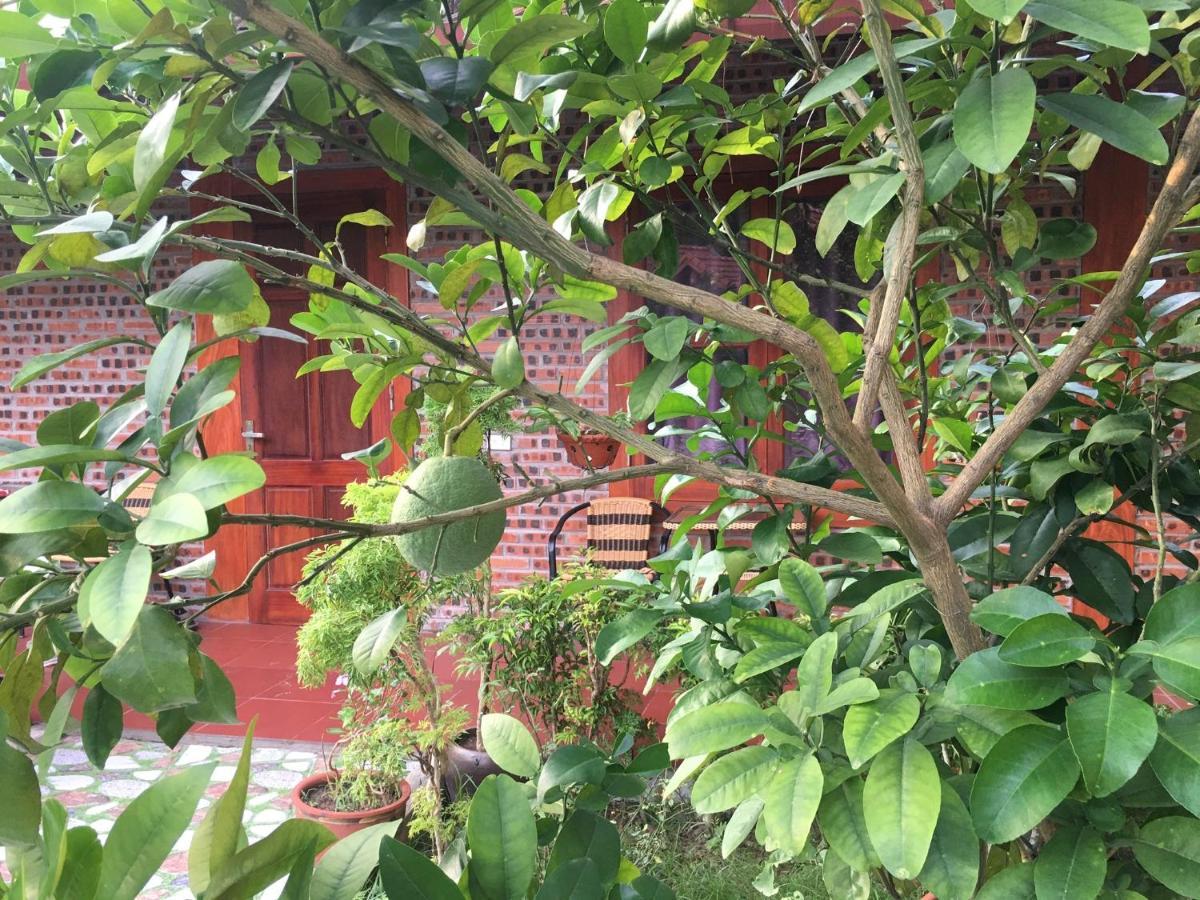 Tam Coc Thanh Dat Homestay Ninh Binh Luaran gambar
