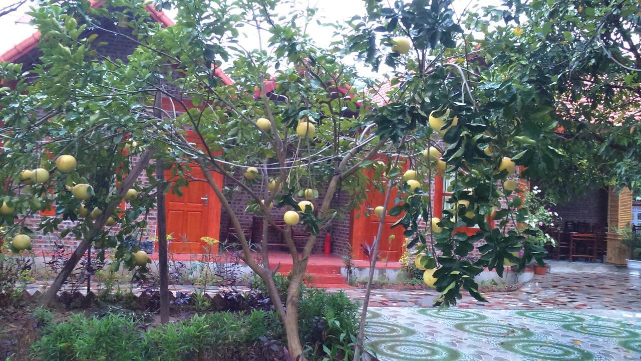 Tam Coc Thanh Dat Homestay Ninh Binh Luaran gambar