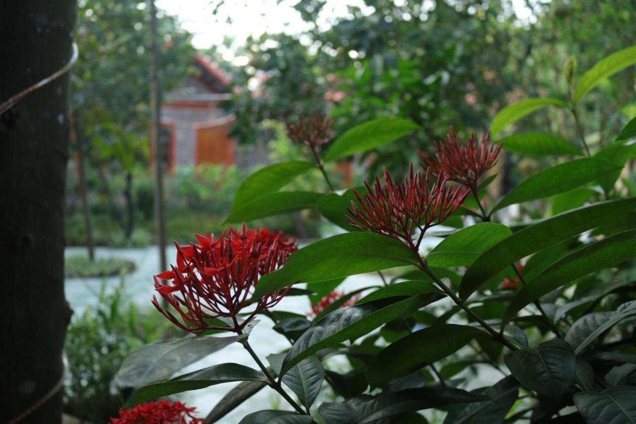 Tam Coc Thanh Dat Homestay Ninh Binh Luaran gambar