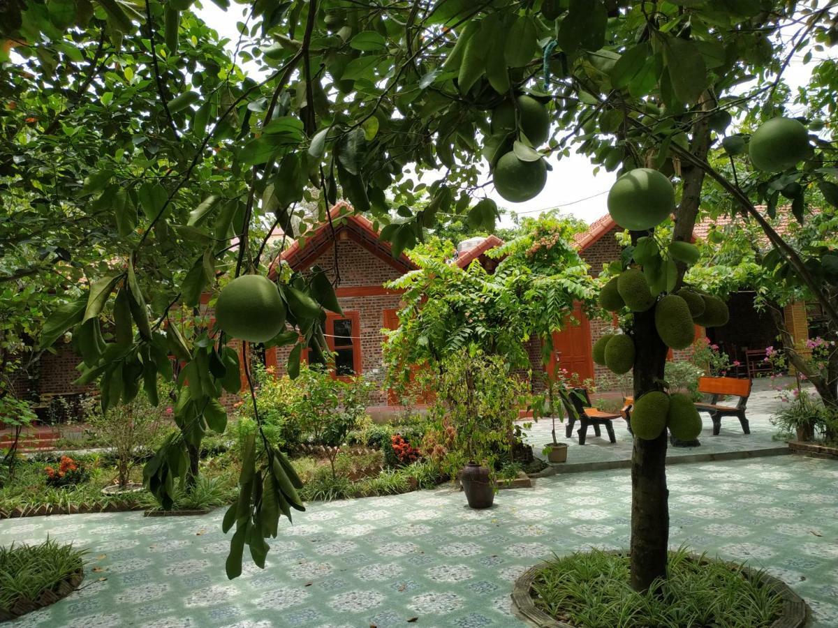 Tam Coc Thanh Dat Homestay Ninh Binh Luaran gambar